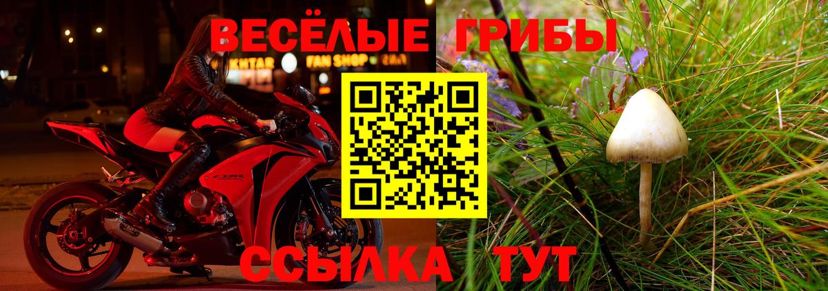 Новочебоксарск  Галлюциногенные грибы GOLDEN TEACHER  Псилоцибиновые грибы GOLDEN TEACHER  Вход с VPN 